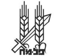 על הפלמ"ח במלאות 80 שנה להקמתו